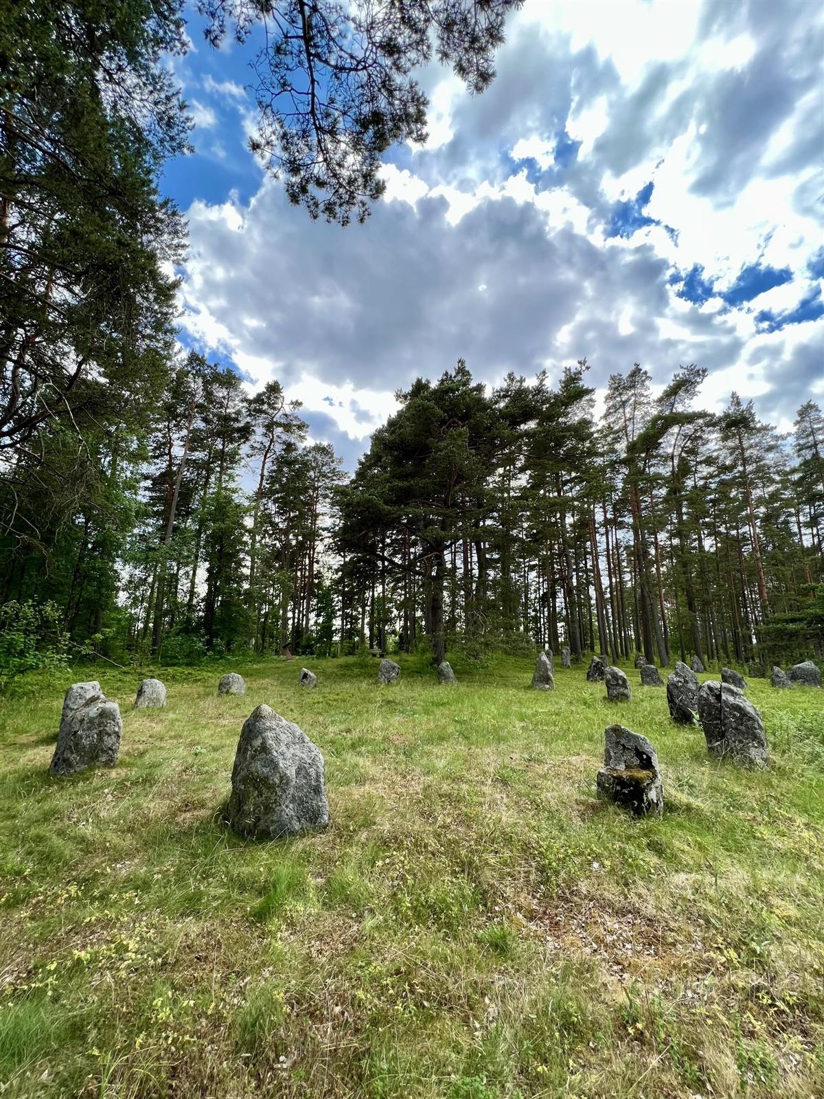 Foto av steinringene - Klikk for stort bilde